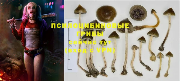 стаф Лабытнанги