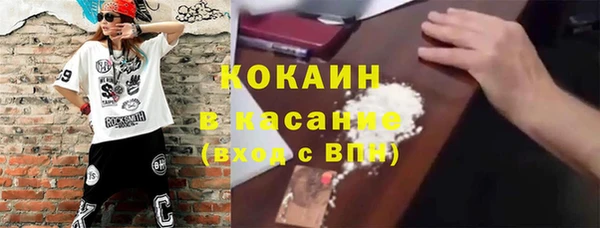 хмурый Белокуриха