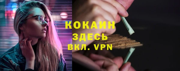 хмурый Белокуриха