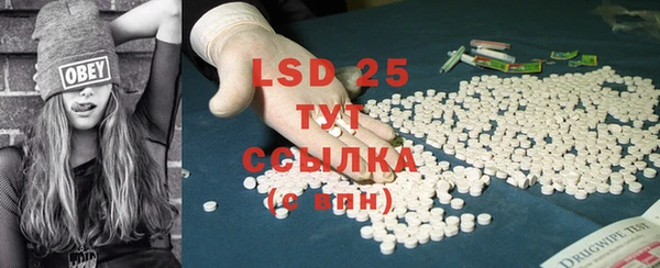 хмурый Белокуриха
