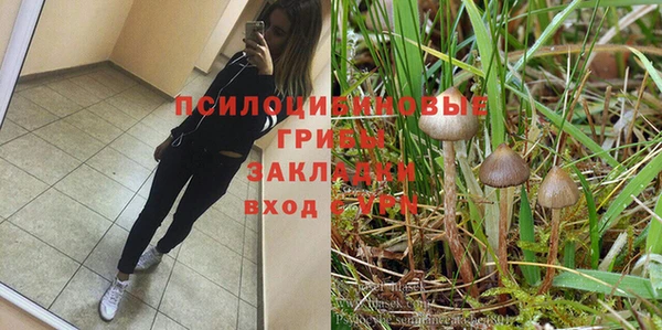 прущие крисы Баксан