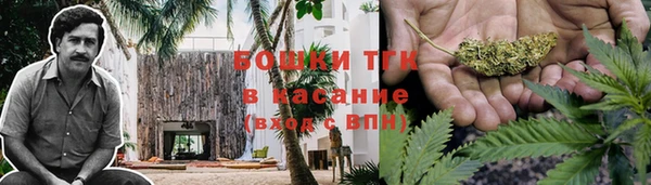 хмурый Белокуриха
