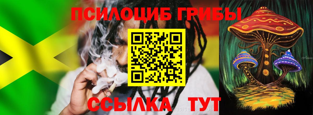Северск  Галлюциногенные грибы прущие грибы  Вход с VPN 
