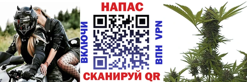 Каннабис конопля  Северск 